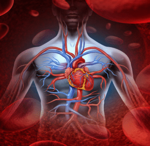 Coronary artery disease (CAD)