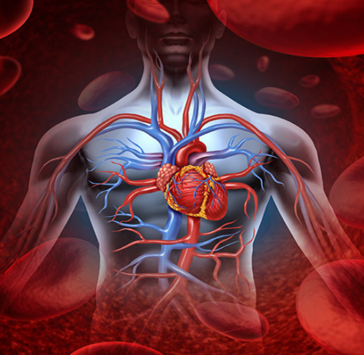 Early Signs of Coronary Artery Disease: Recognizing the Symptoms of Blocked Heart Arteries | Sallycruzblog Coronary artery disease (CAD)